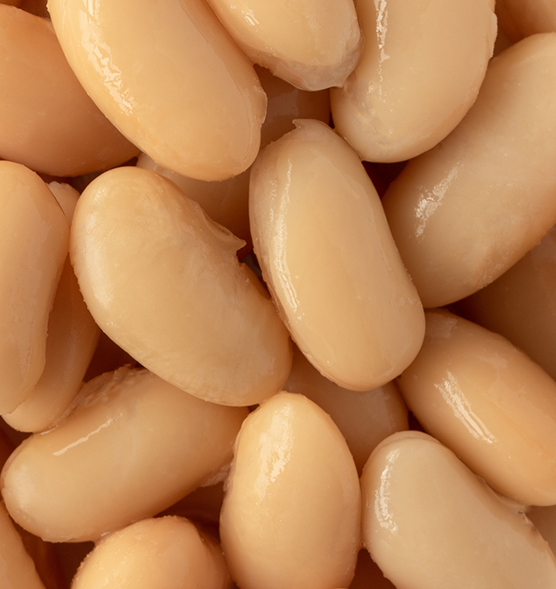 The Legume Supply Chain